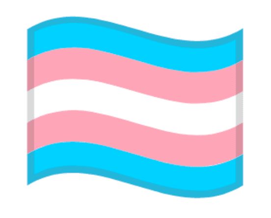 Bandiera transgender composta da strisce blu chiaro e rosa chiaro.