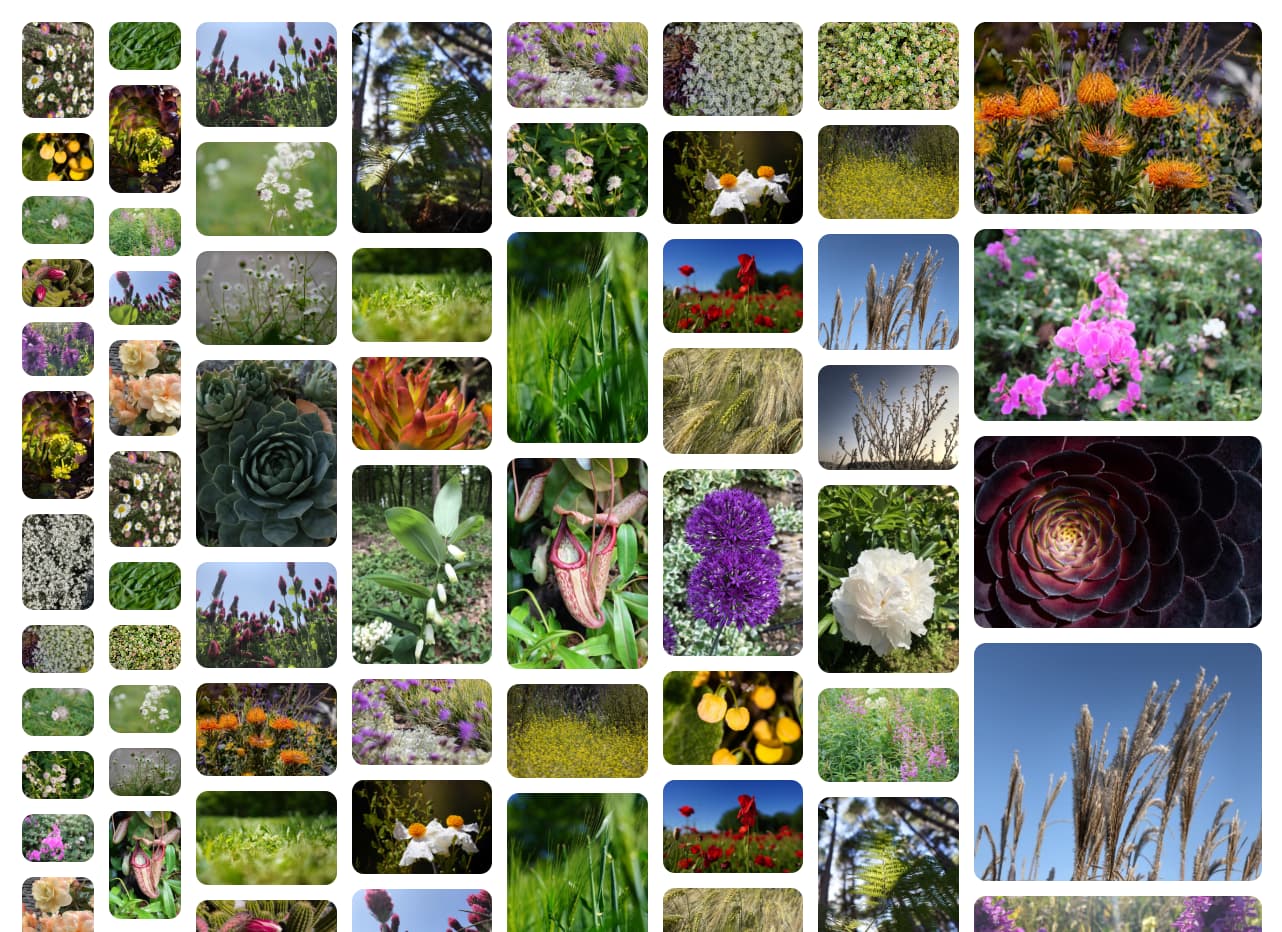 طرح بنایی با اندازه های مختلف مسیر.