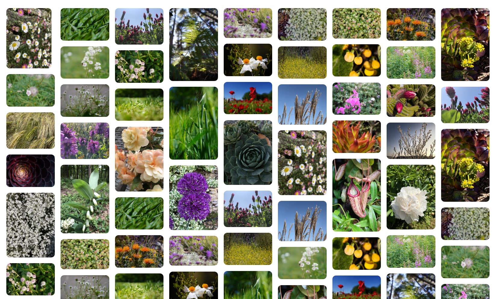 ऑटो-साइज़ वाले कॉलम के साथ मेसनरी लेआउट.