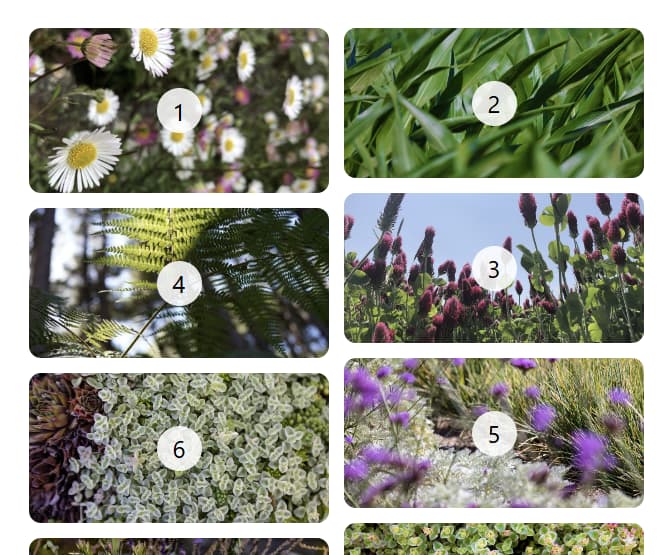 เลย์เอาต์แบบก้อนอิฐ 2 คอลัมน์