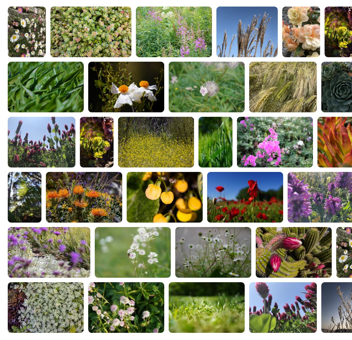 所有列大小相同的磚塊版面配置。