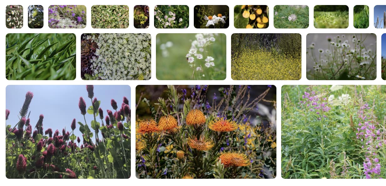 Bố cục dạng lưới có 3 hàng tăng dần kích thước.