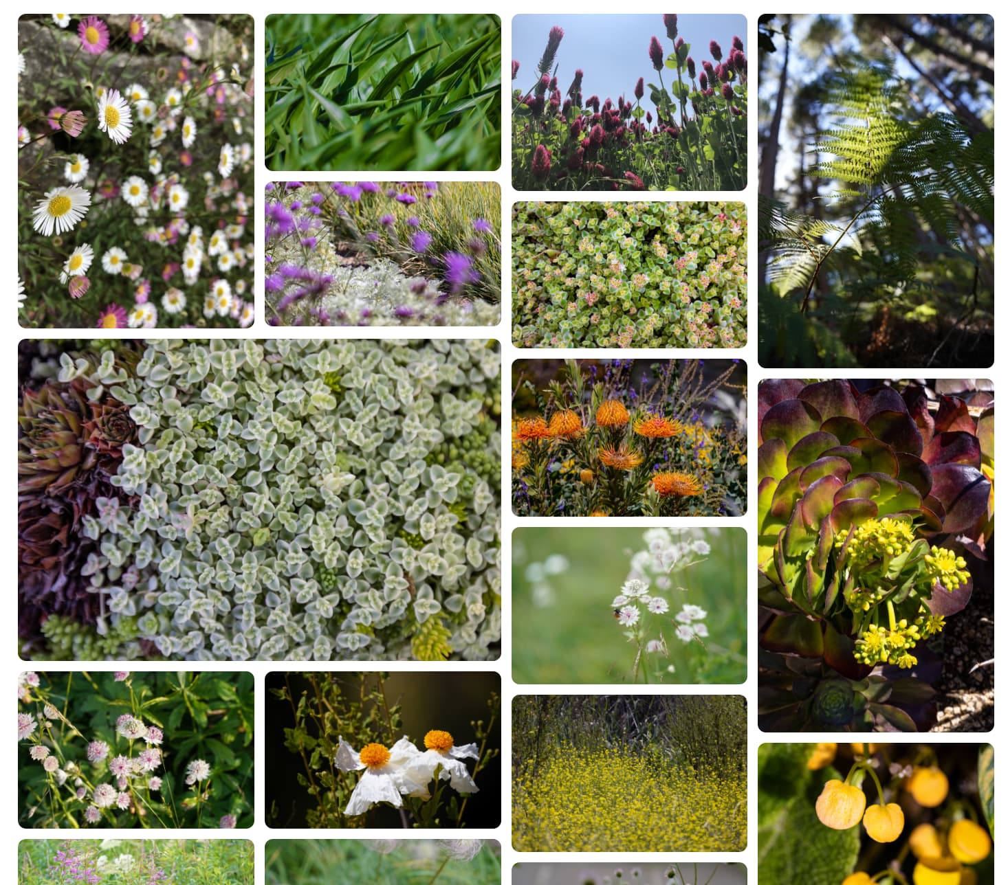 Mauerwerk-Layout mit Elementen, die sich über mehrere Spuren erstrecken.