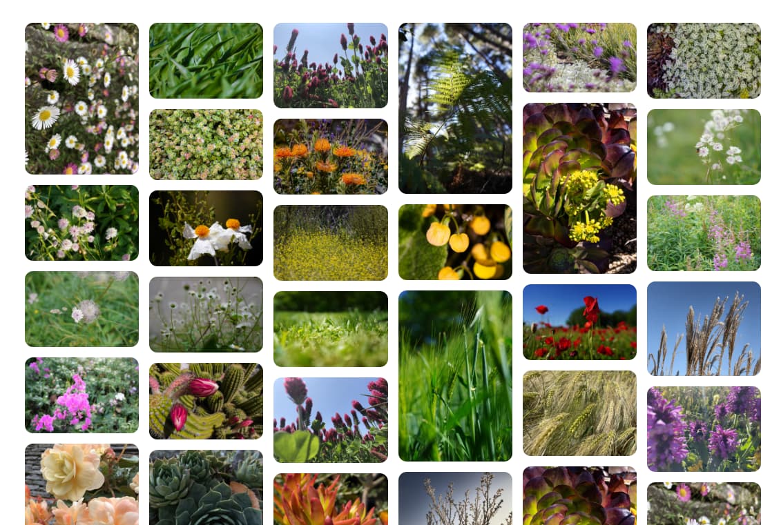 طرح بنایی که در آن همه ستون ها به یک اندازه هستند.