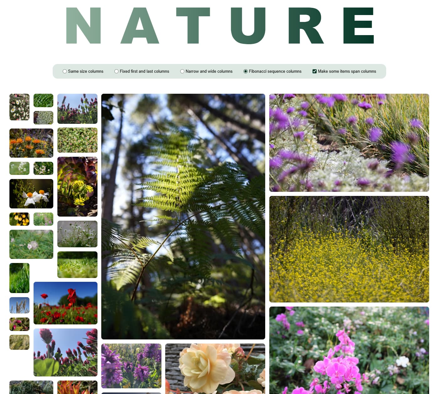 طرح سنگ تراشی سایت عکاسی.