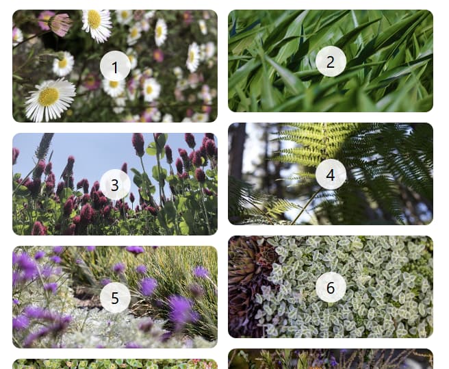 Um layout de alvenaria de duas colunas.