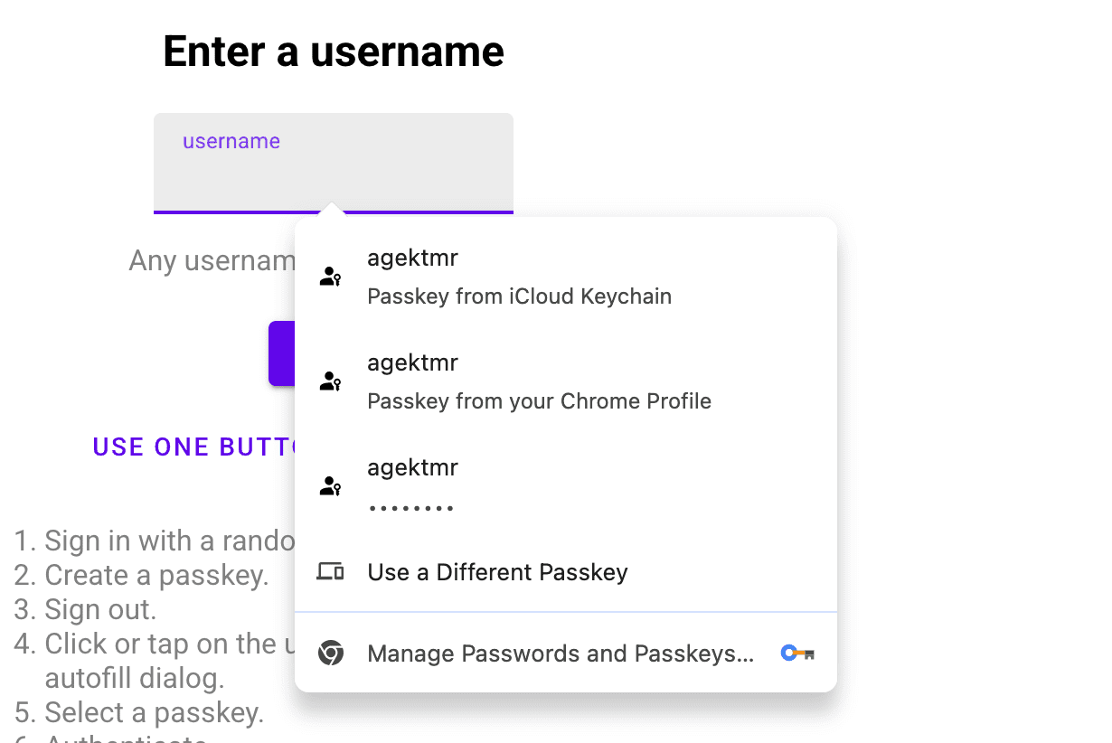 양식 자동 완성에서 iCloud 키체인과 Chrome 프로필 모두에서 패스키를 제안합니다.