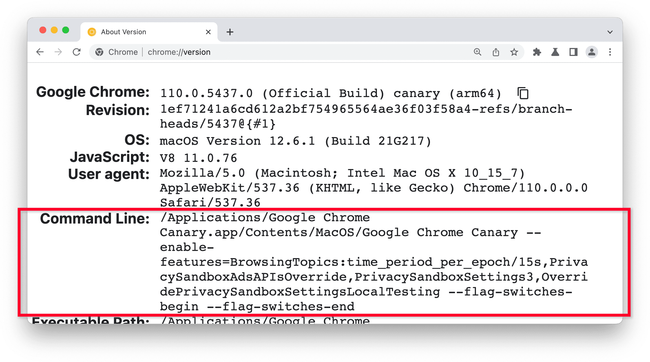 Chrome Canary 中的 Chrome 版本頁面，醒目顯示「Command Line」部分